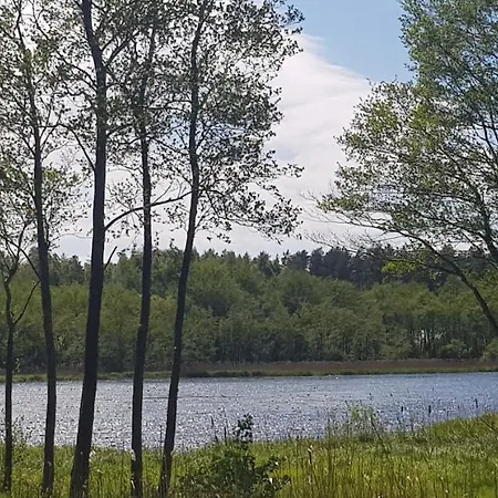 Zacisze Czapli * Kopalino