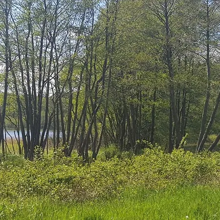 Zacisze Czapli